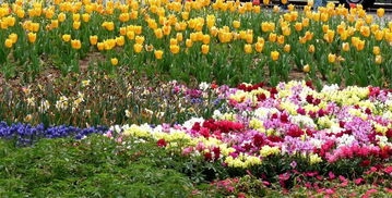 沈陽(yáng)世博園 花卉之外的生態(tài)綠洲——蔬菜園區(qū)的魅力探索